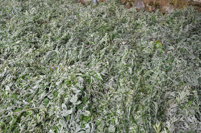 085907722.jpg 085907722.jpg