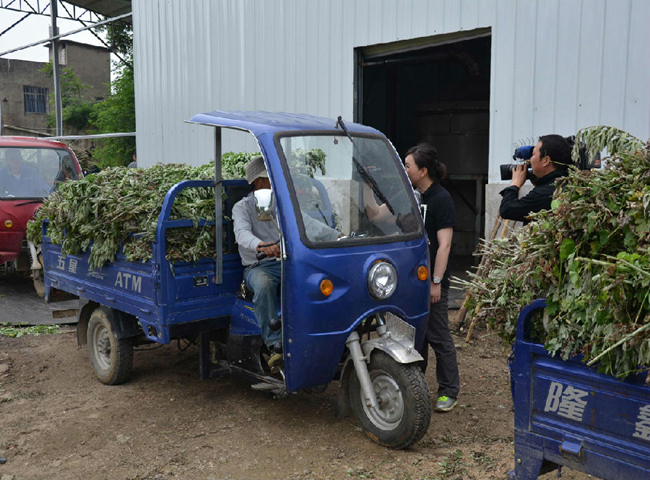 090523308.jpg 090523308.jpg